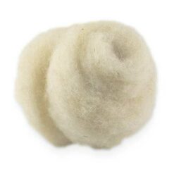 Grünspecht heilwolle