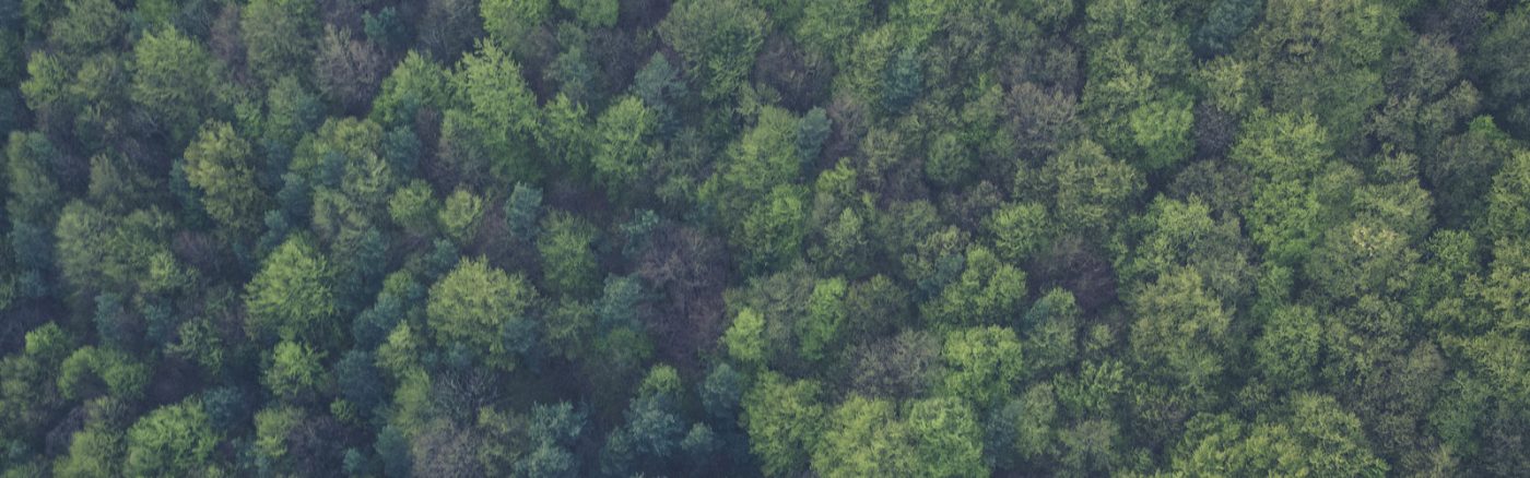 banner-bomen-2