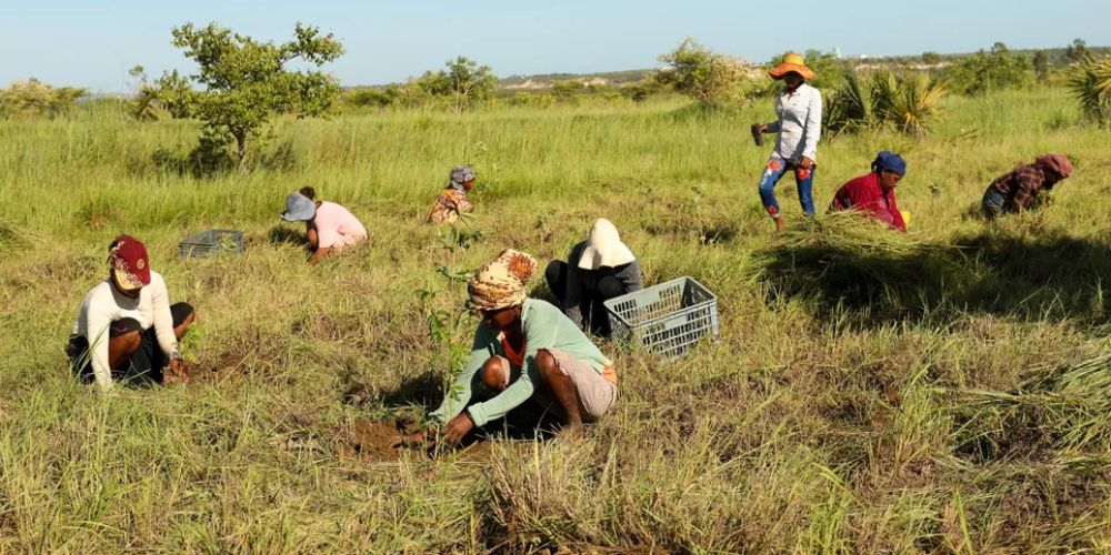 Herbebossing en sociale impact van Eden